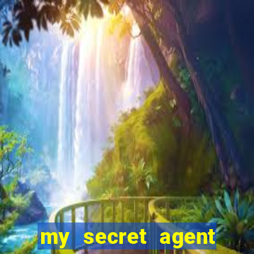 my secret agent husband legendado